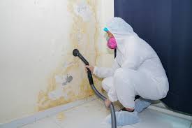 Best Air Quality Testing for Mold Spores  in Holmes Beach, FL